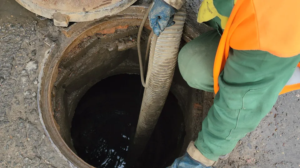 Фото: МедиаБанк Подмосковья/Мария Андрюхина