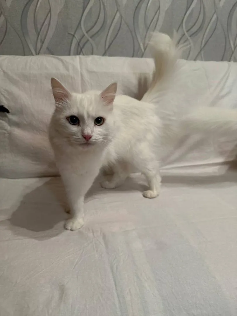 Фото: Подслушано на Глебовке (новая) / ВКонтакте