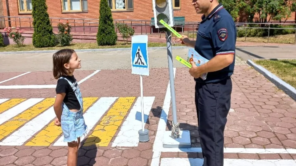 Фото: Госавтоинспекция УМВД России по г. о. Домодедово