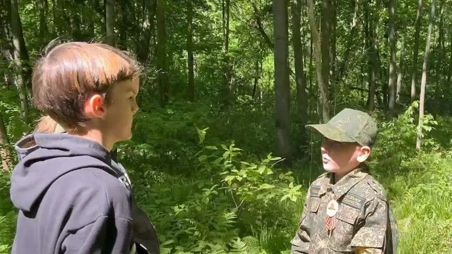 Источник: Комитет лесного хозяйства Московской области