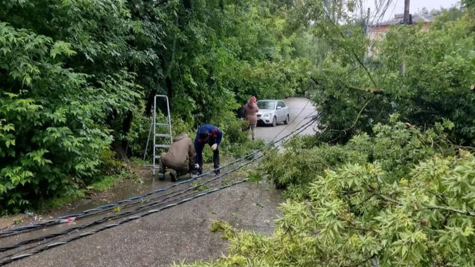 Фото: пресс-служба администрации г.о. Люберцы