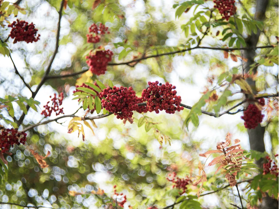 Фото: REGIONS/Наталия Надточая