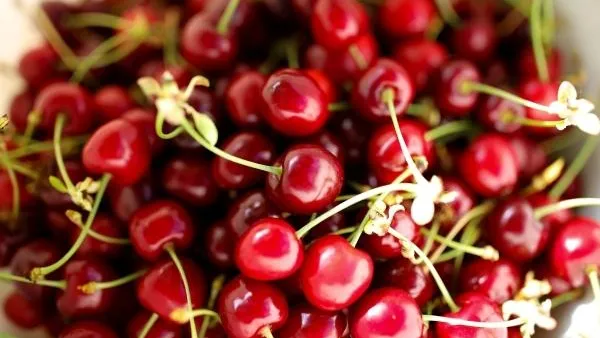Девятьсот кило черешни продали за три дня на «Ценопаде» в Раменском
