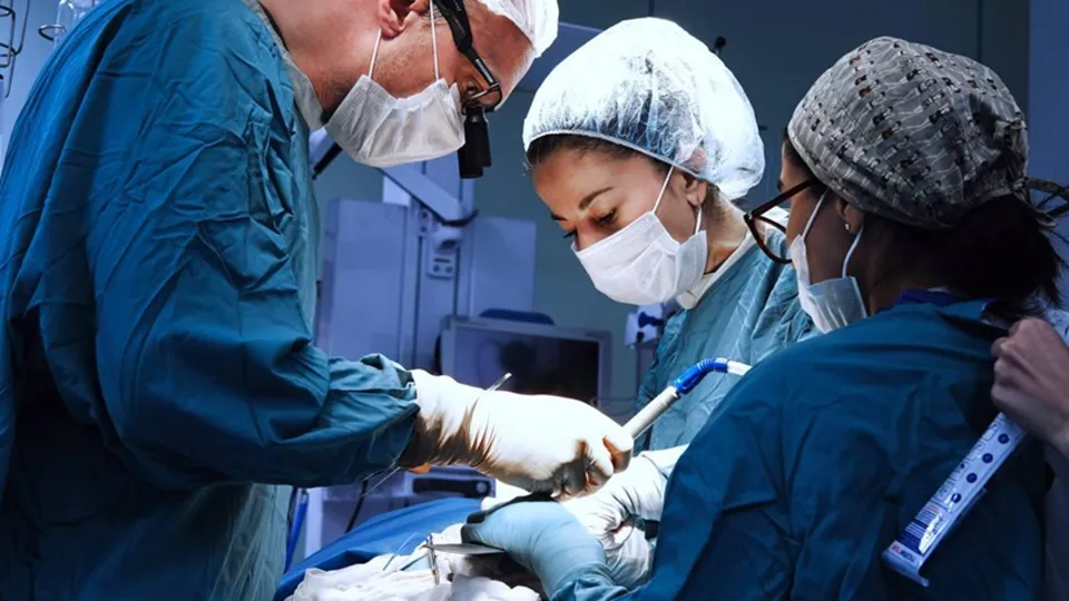 Фото: ДКЦ им. Л.М. Рошаля