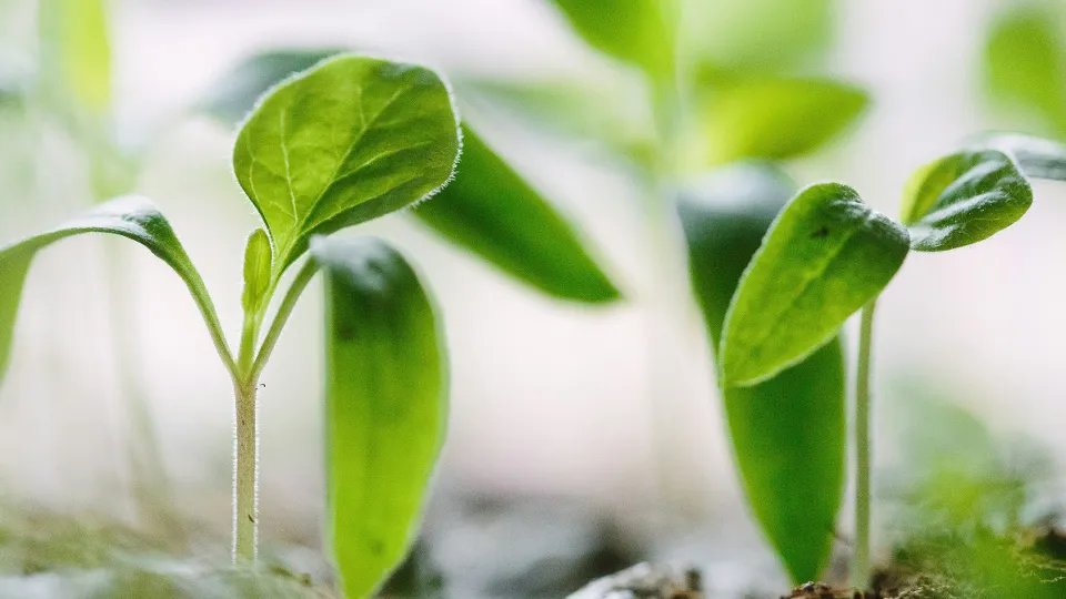 Фото: unsplash.com