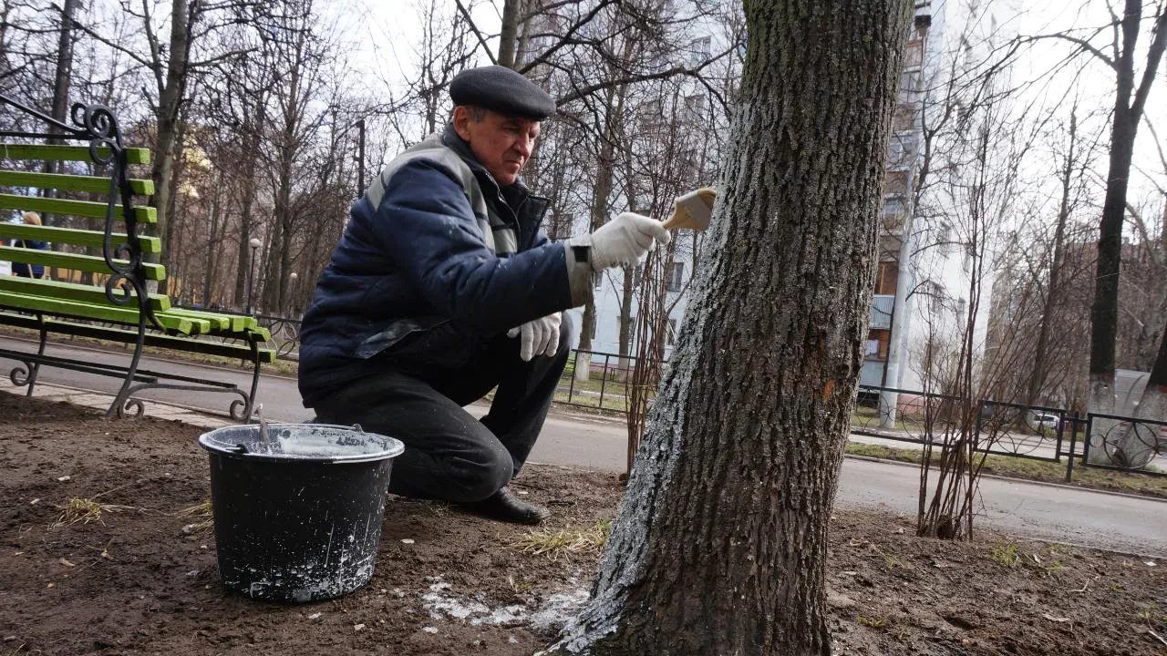 медиасток.рф