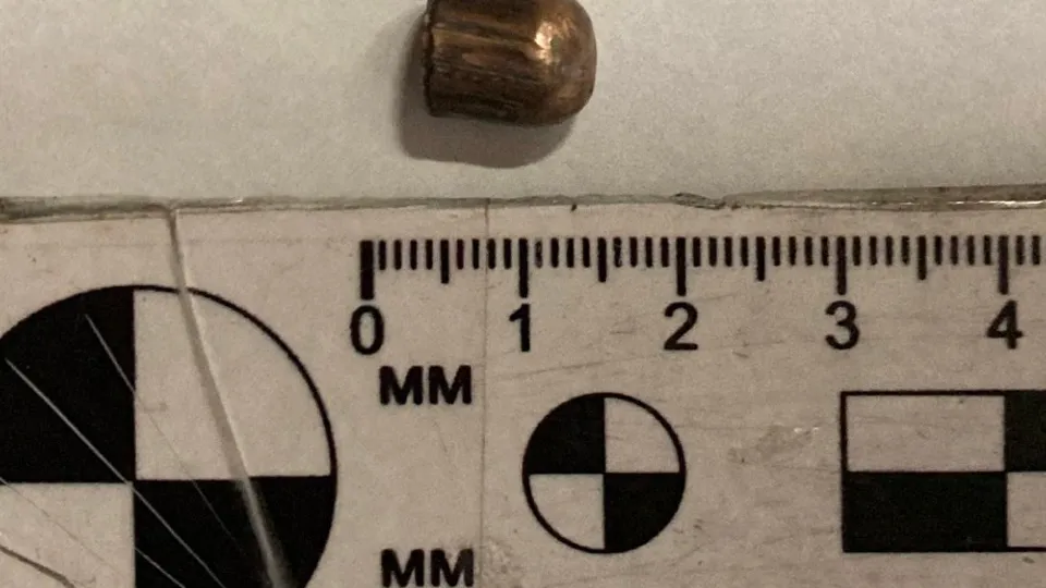 Фото: пресс-служба ГСУ СК России по Московской области