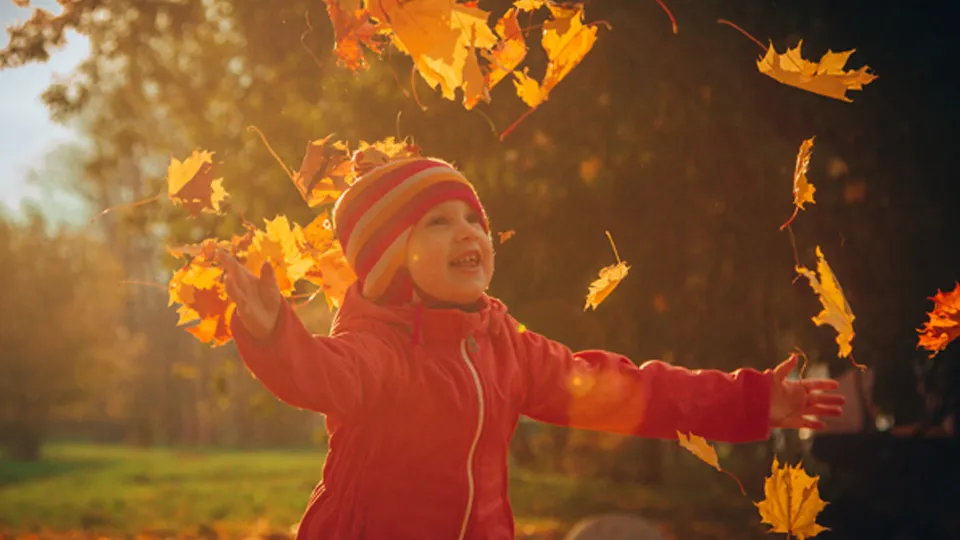 Фото: REGIONS/Владимир Ерастов