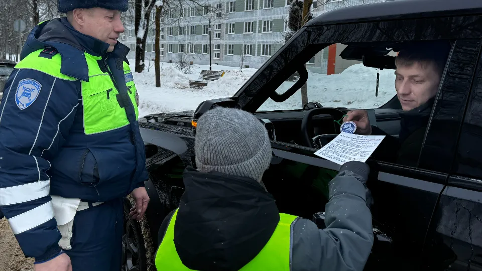 Фото: Отдел Госавтинспекции ОМВД России «Лотошинский»