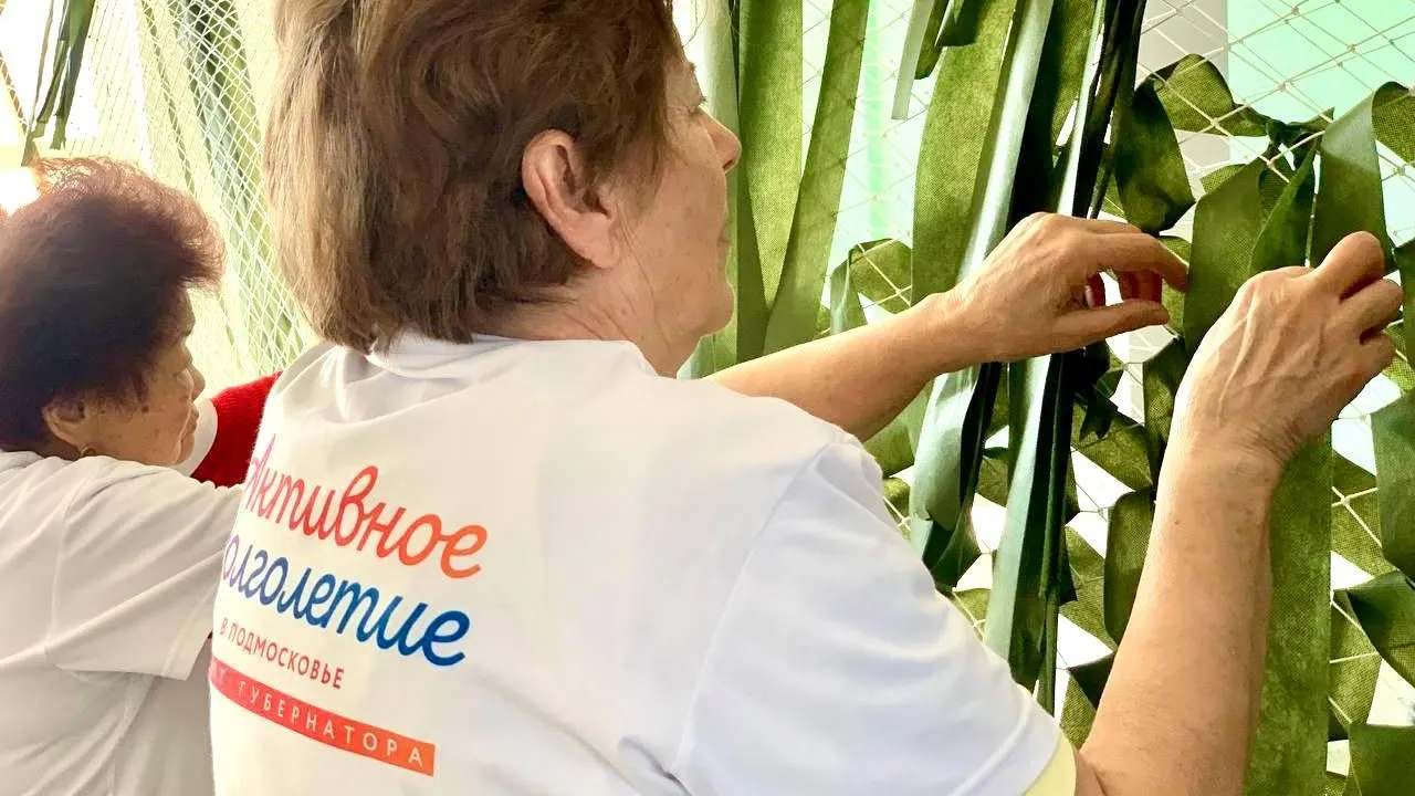 Фото: Минсоцразвития МО