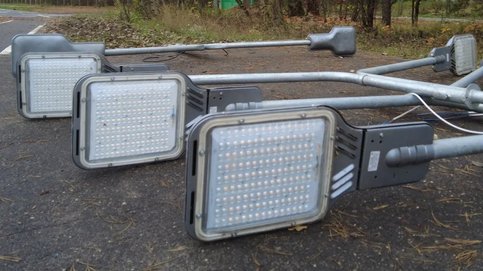 Фото: МедиаБанк Подмосковья/Анастасия Игнатова