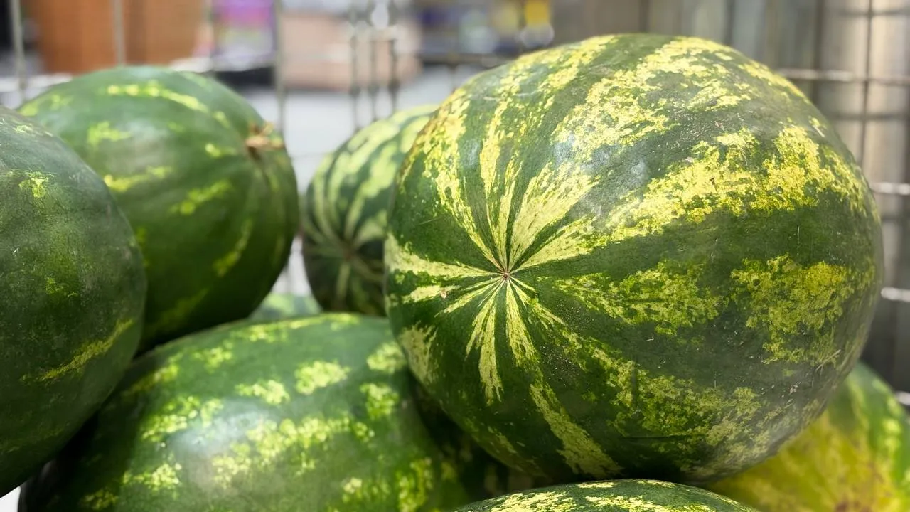 Фото: REGIONS/Полина Крачун