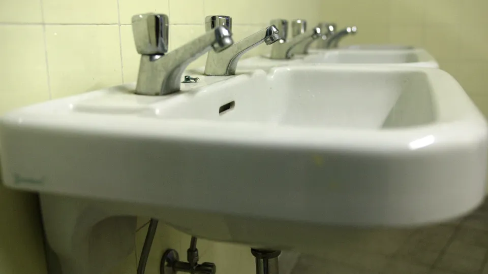 Фото: pxhere.com