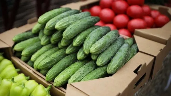 Полтонны овощей продали на «Ценопаде» в Подольске