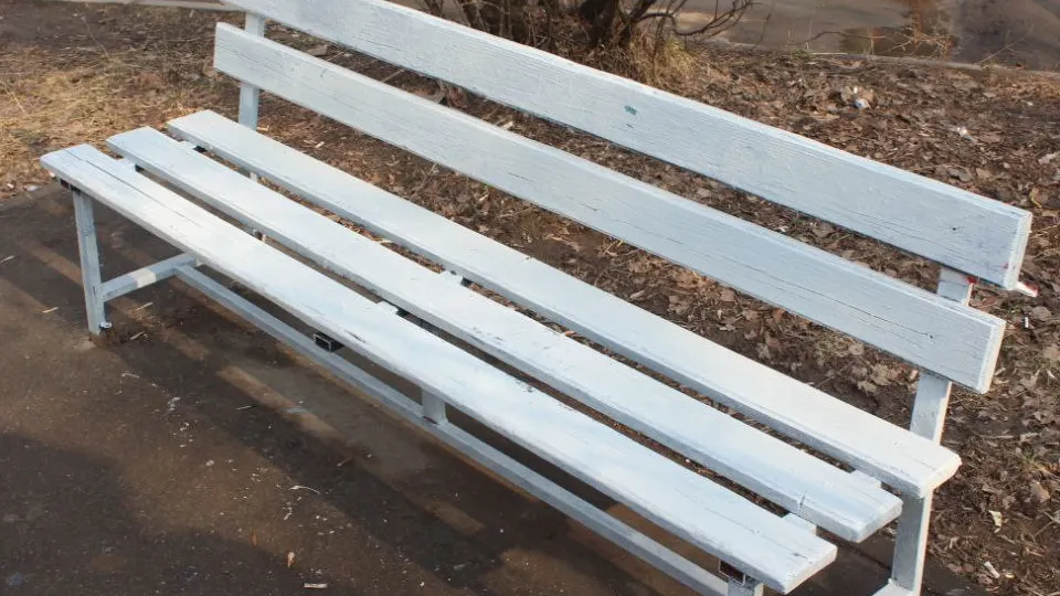 Фото: пресс-служба администрации г.о. Фрязино