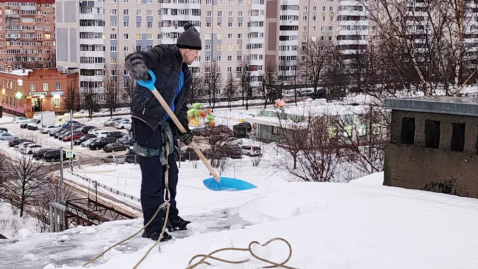 Фото: МедиаБанск Подмосковья/Наталия Надточая
