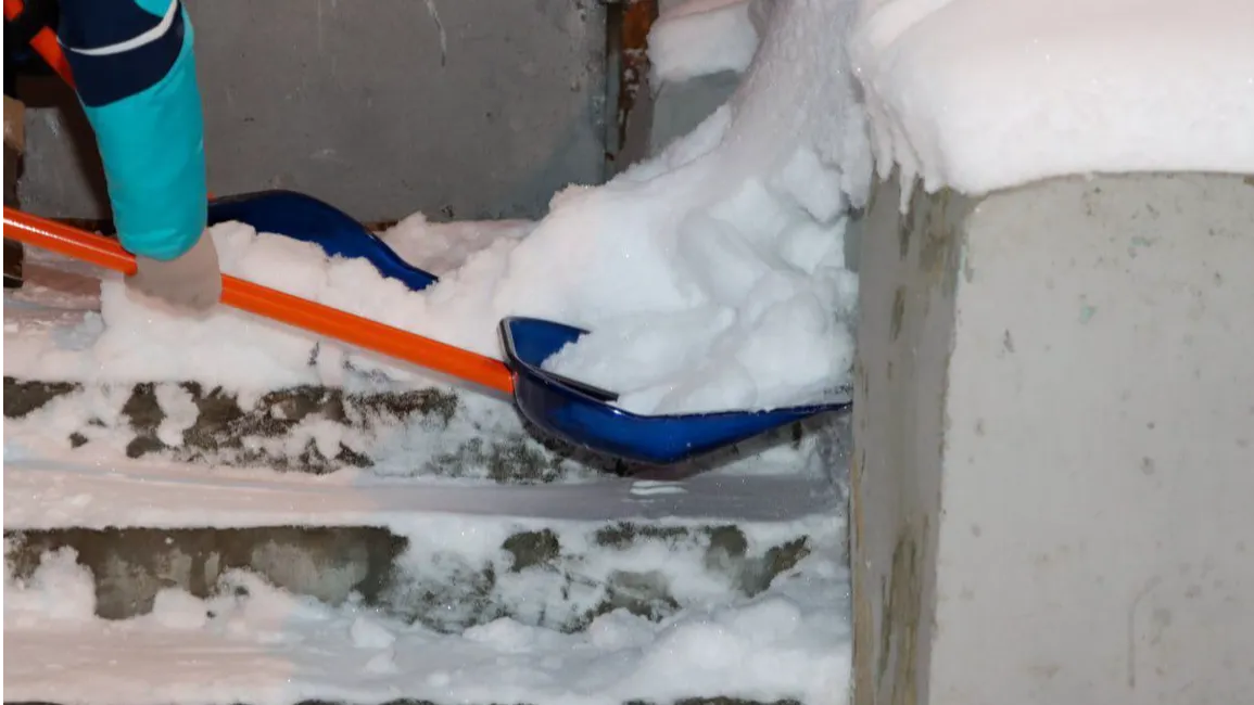 Соцсети Анны Кротовой