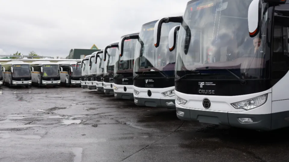 Фото: медиатор.рф