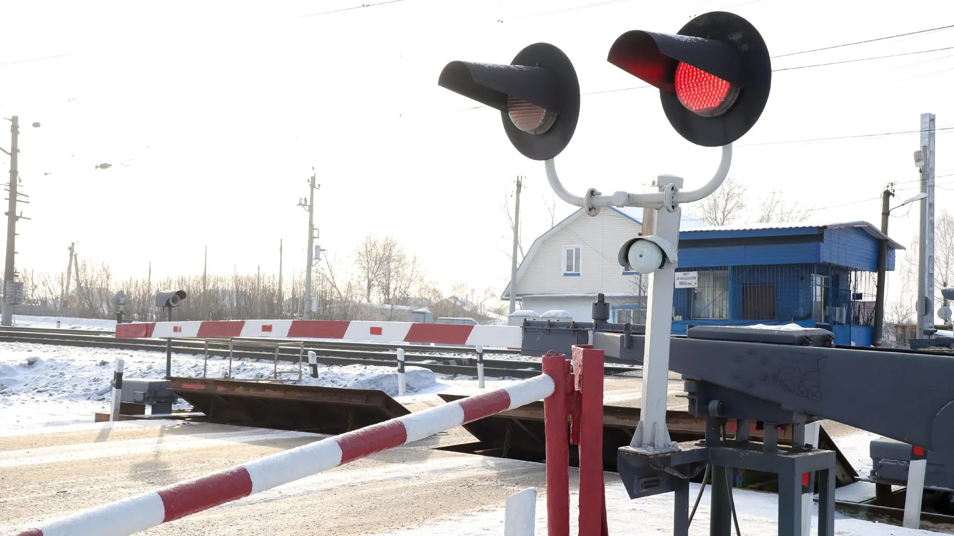 Elena Mayorova/Global Look Press