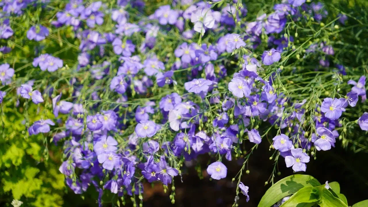 REGIONS/Наталья Надточая