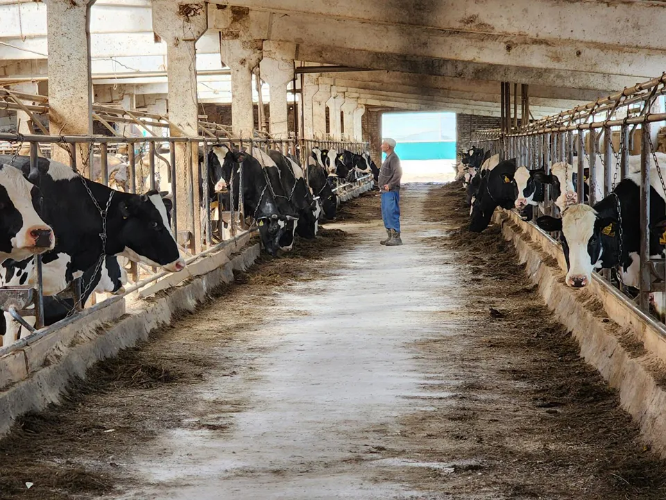 Фото: REGIONS/Роман Кутузов