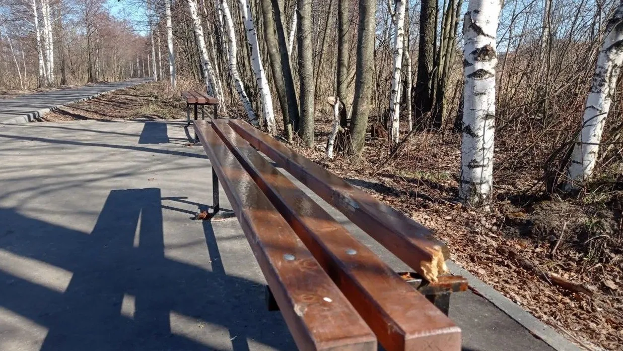 Фото: пресс-служба администрации шатурского м.о.