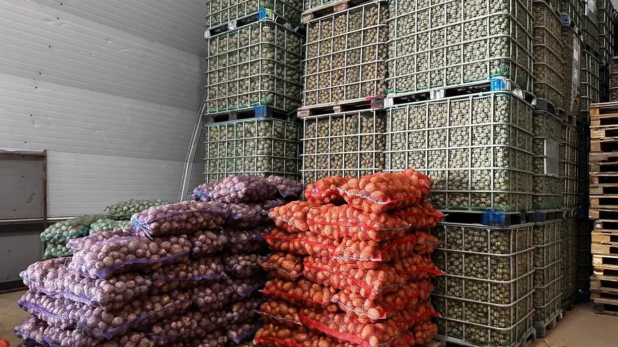 Фото: пресс-служба губернатора МО