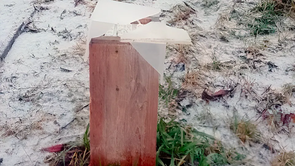 Фото: пресс-служба администрации г.о. Зарайск