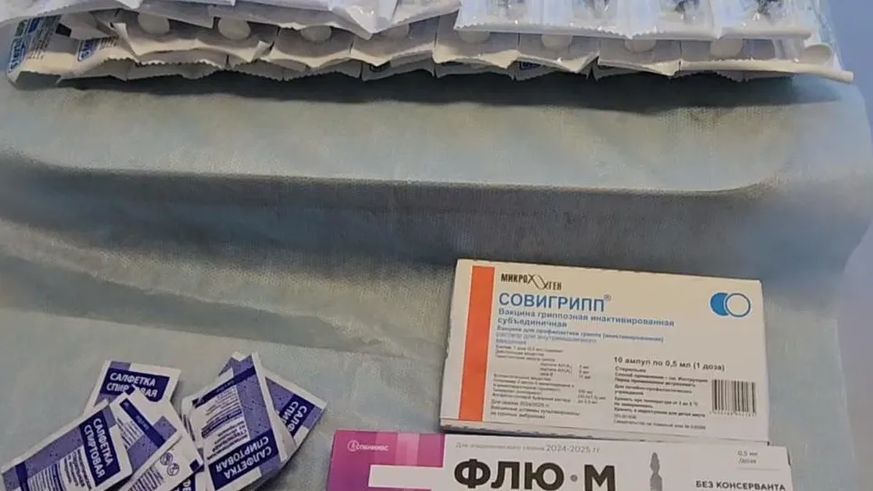 Фото: МедиаБанк Подмосковья/Дмитрий Алексеенко