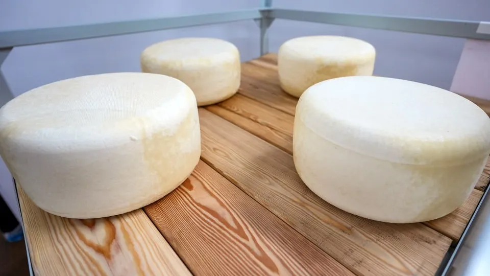 Фото: пресс-служба губернатора и правительства Московской области/Александра Степанова