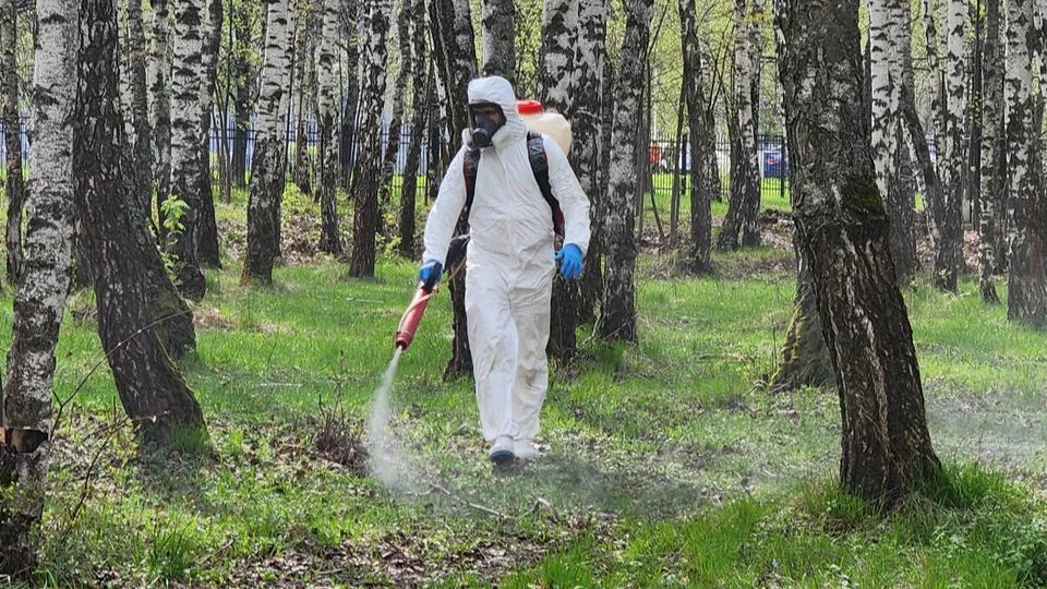 Фото: МедиаБанк Подмосковья/Иван Дубров
