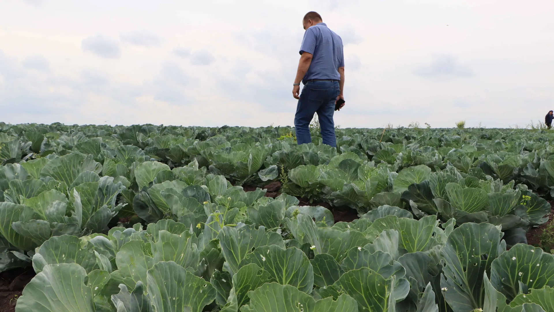 Фото: Ирина Матвеева