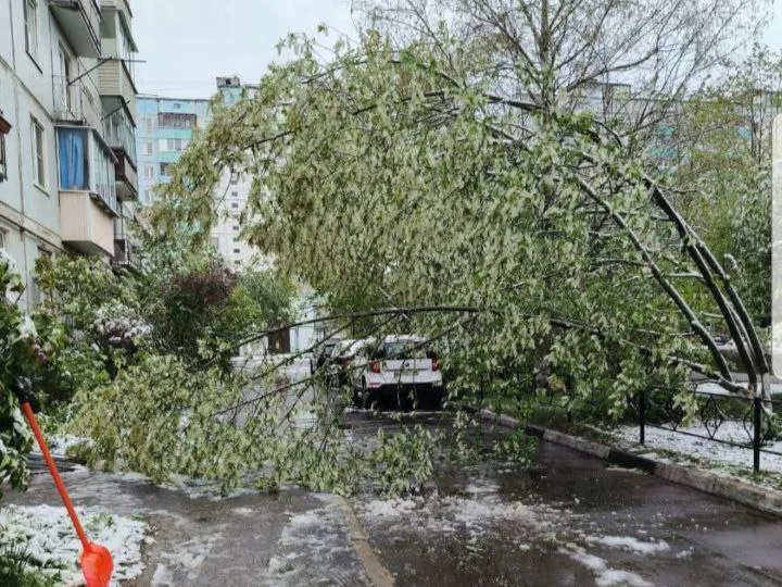 Фото: администрация г.о. Краснознаменск