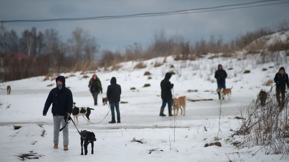 Фото: медиасток.рф