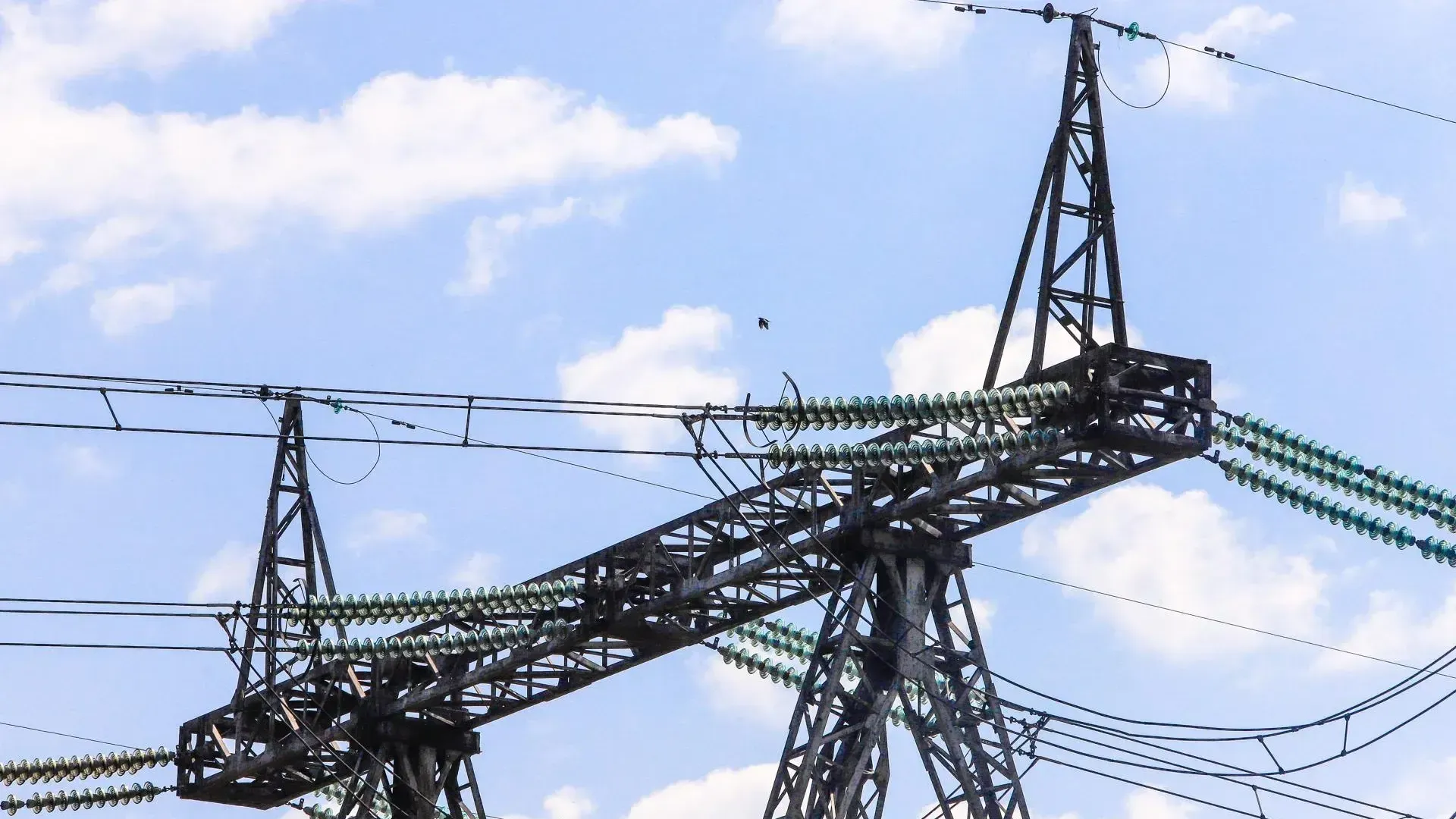 Виталий Ватулин