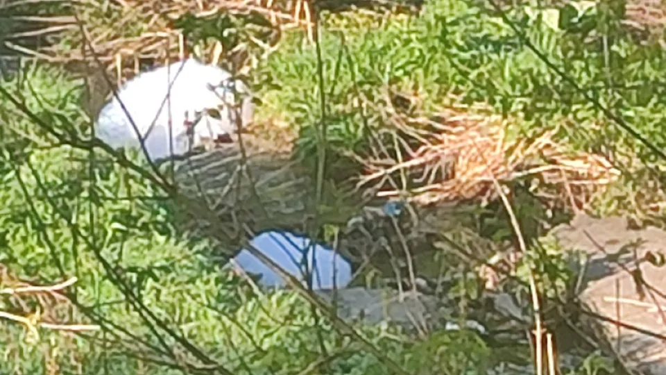 Фото: соцсети