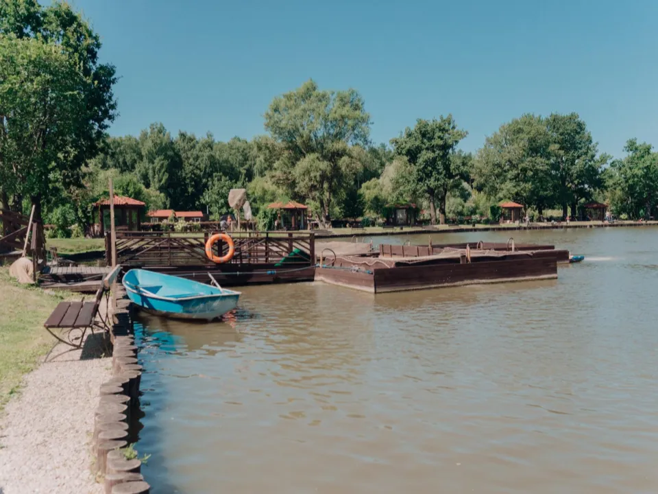 Фото: пресс-служба администрации Ленинского г. о.