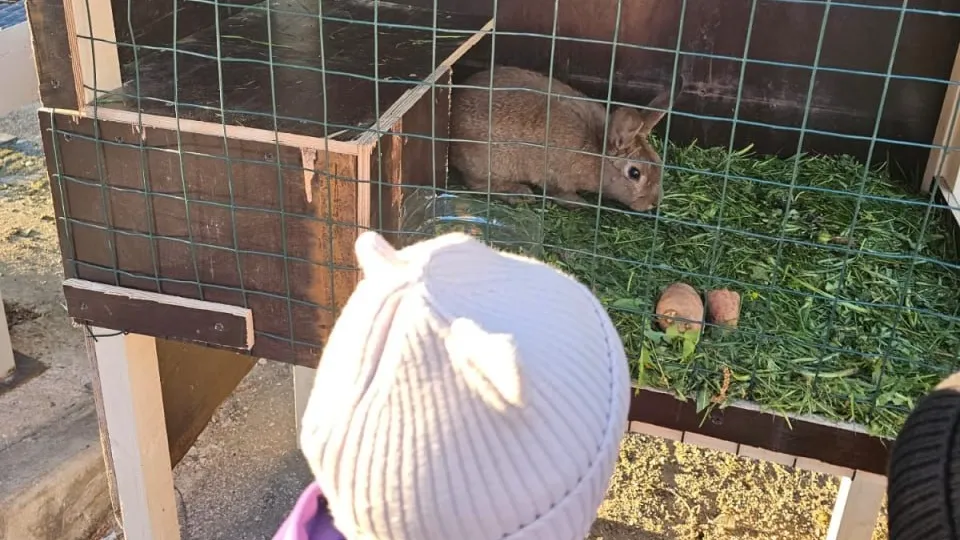 Фото: МБУК «Городской парк культуры и отдыха»