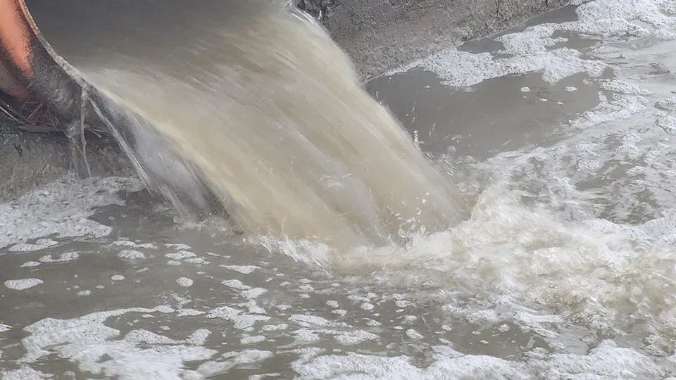 Фото:Никита Сморкалов