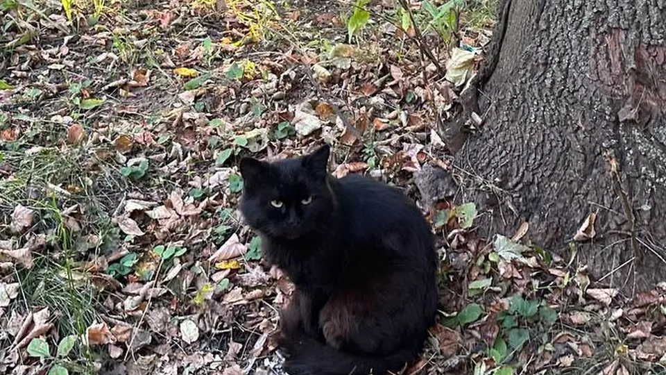 Фото: Александра Серова