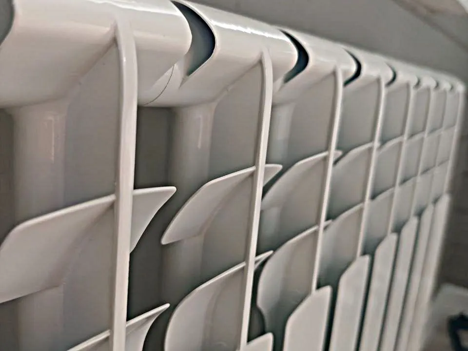 Фото: REGIONS/Максим Зубарев