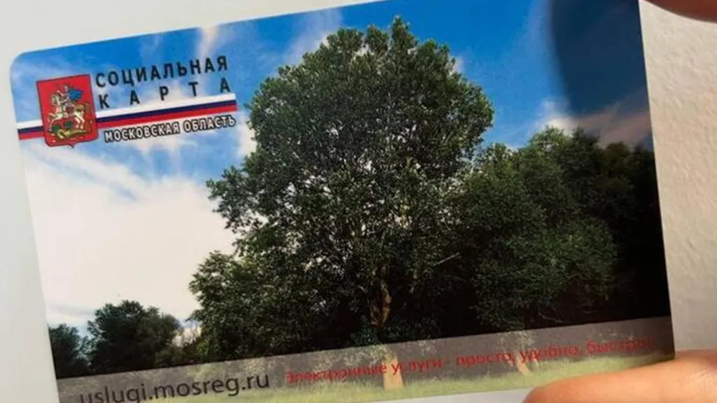 Пресс-служба министерства социального развития Московской области