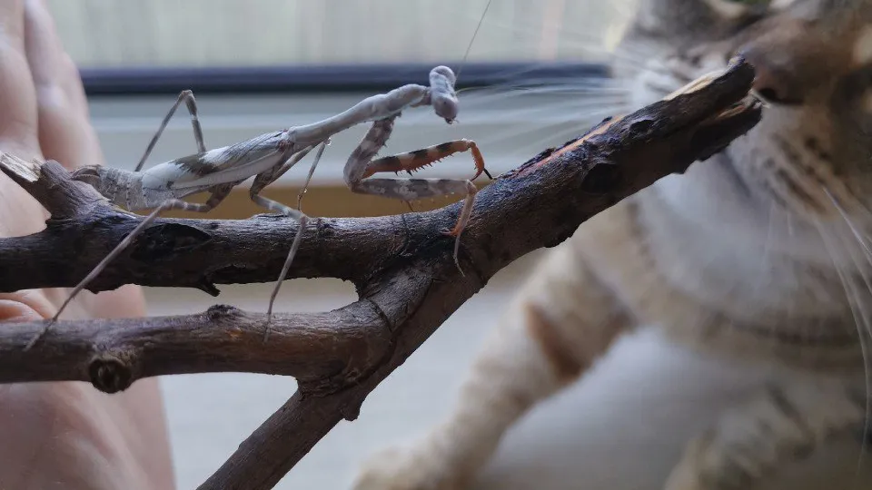 Фото: телеканал «Дубна»