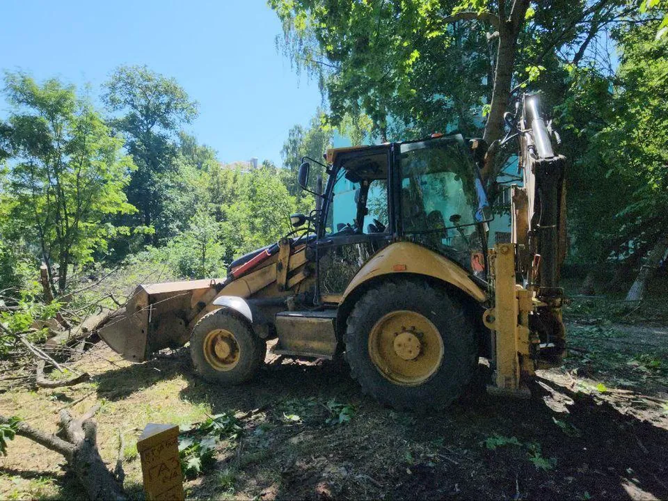 Фото: Наталья Лымарь