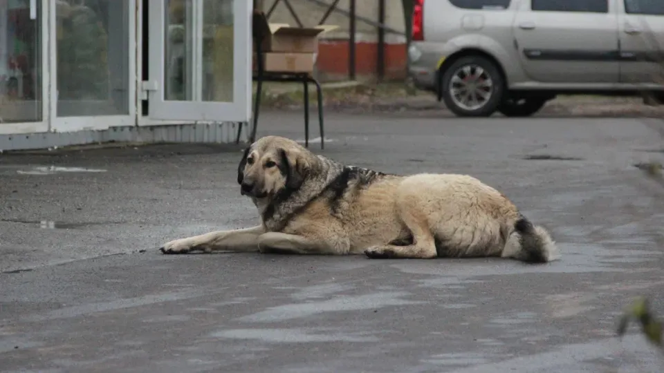 Иллюстративное изображение. Фото: REGIONS/Василий Тремасов