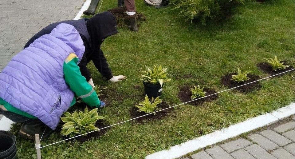 Коммунальные службы Подмосковья привели в порядок городские зеленые зоны