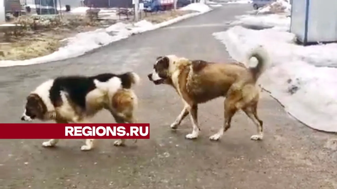 Фото: Дарина Герасимова