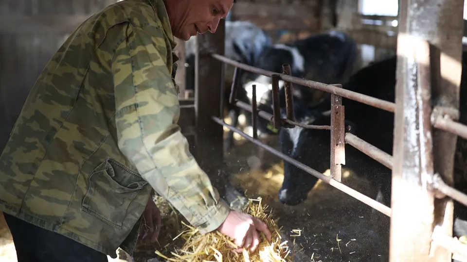 Фото: РИА Новости/Виталий Тимкив