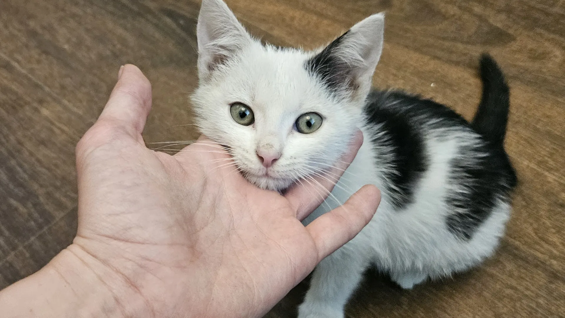 Фото: Медиабанк Подмосковья/Ольга Вельшикаева