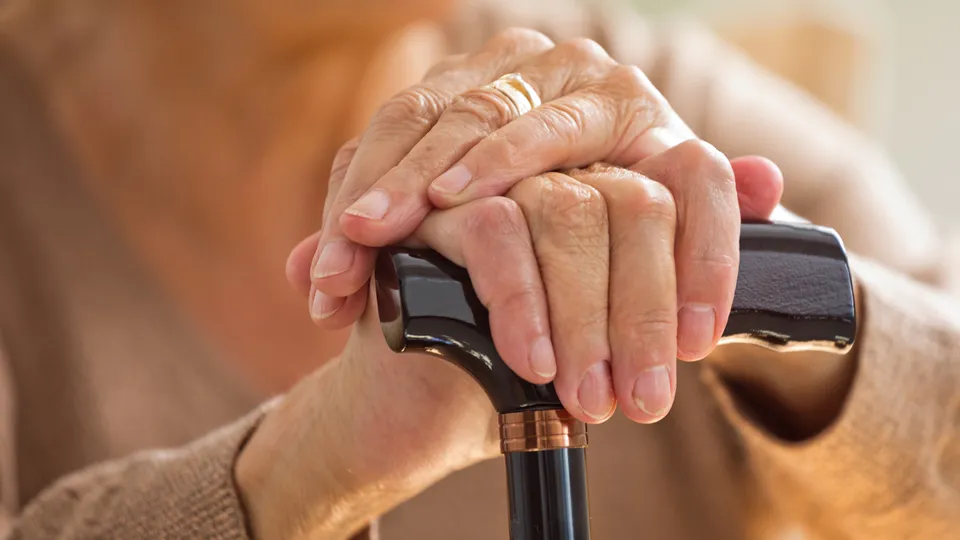 Фото: istockphoto.com